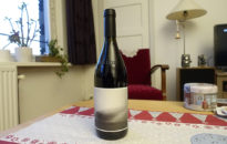 Starlings on 4kilos wine