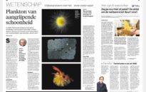 Interview Algemeen Dagblad door Hans van Zon
