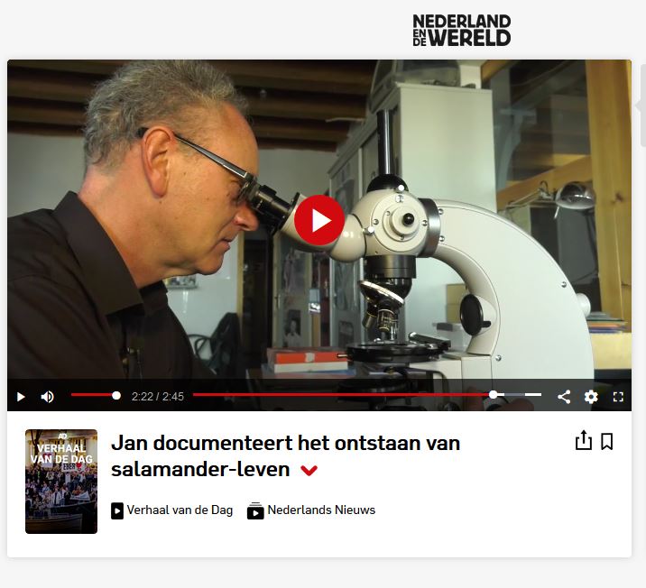 Video interview at AD.NL - Jan van IJkenJan van IJken
