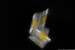 Diatoms - Bacillaria Paxillifer