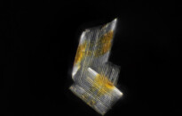 Planktonium – Short film and photo series about the unseen world of living microscopic plankton
Bacillaria paxillifer (diatoms)
Photo Jan van IJken