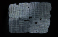 Planktonium – Short film and photo series about the unseen world of living microscopic plankton
Merismopedia elegans (Cyanobacteria)
Photo Jan van IJken